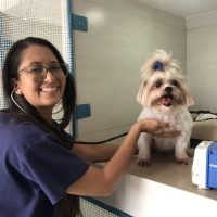 Atualvet - galeria de fotos - 001